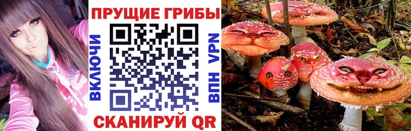 Галлюциногенные грибы Psilocybe  Ясный 